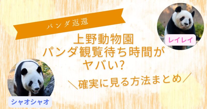上野動物園パンダ待ち時間平日確実に見る方法