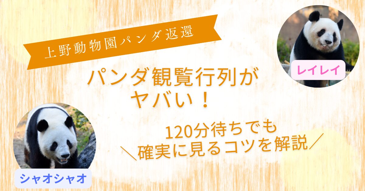 上野動物園パンダ並び方